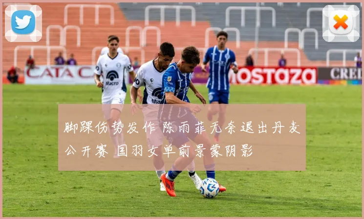 脚踝伤势发作 陈雨菲无奈退出丹麦公开赛 国羽女单前景蒙阴影