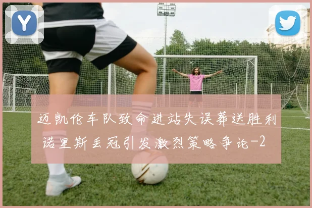 迈凯伦车队致命进站失误葬送胜利 诺里斯丢冠引发激烈策略争论